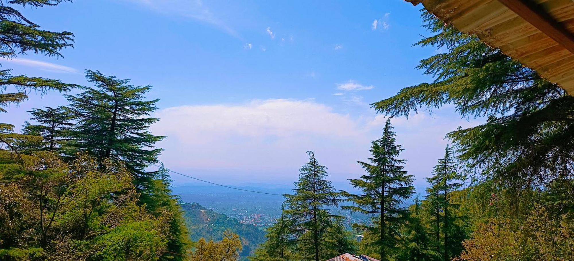 Mcleodganj Bed & Breakfast McLeod Ganj Εξωτερικό φωτογραφία